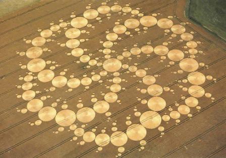 crop circle medium